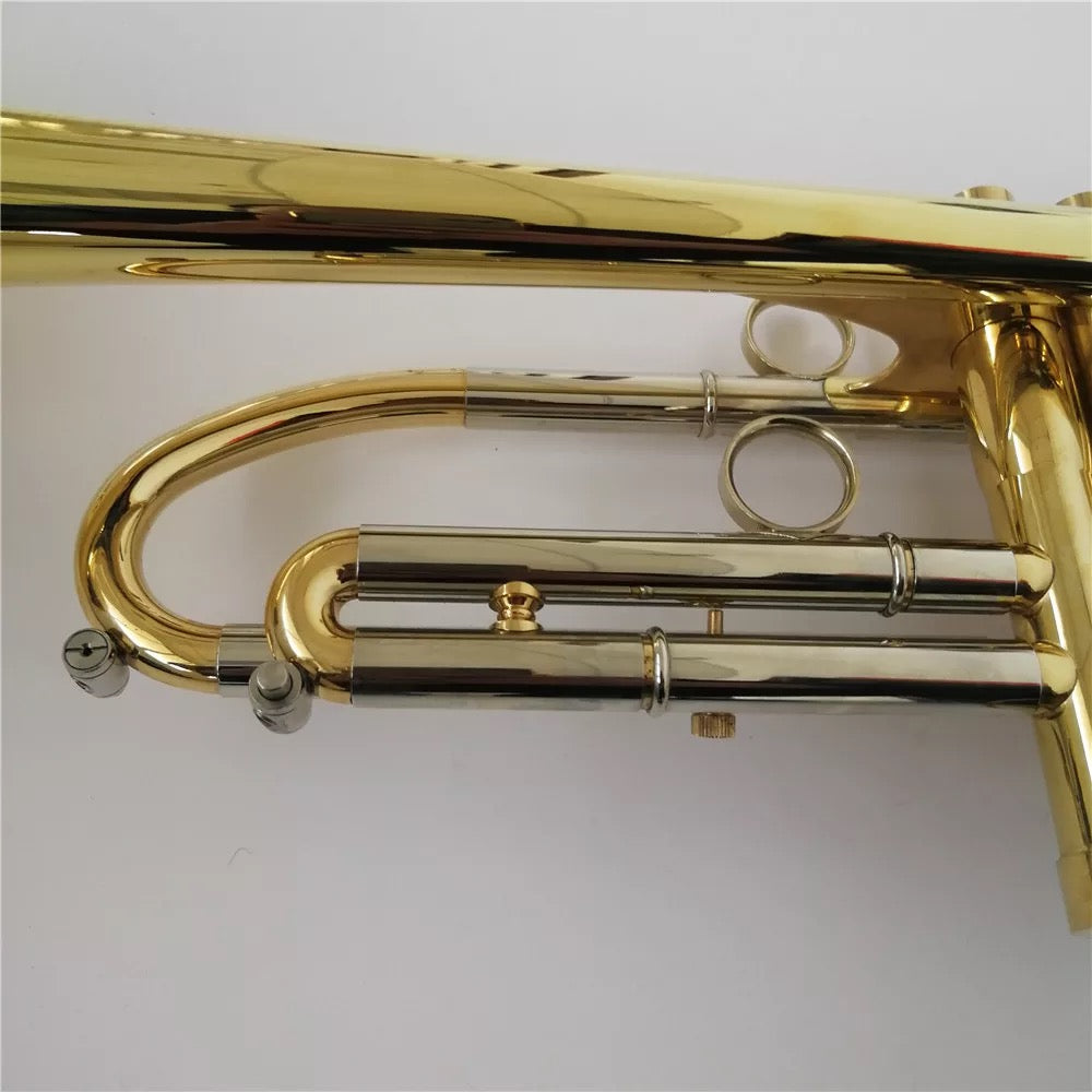 DC Scream Series Professional B-flat marching trumpet