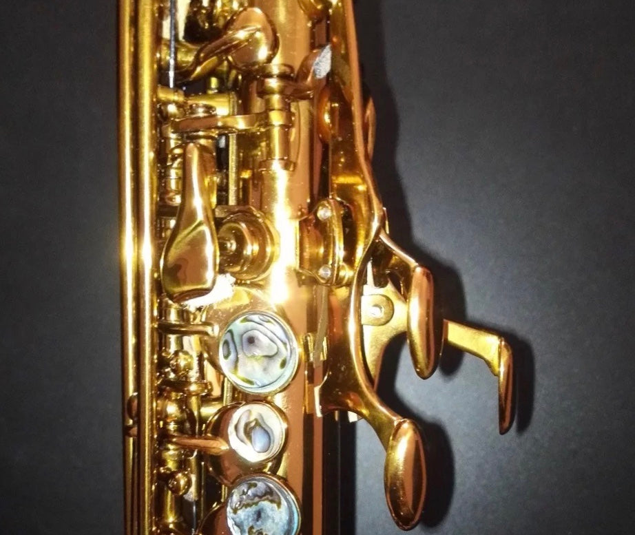 Darron McKinney Demon Chaser 30 Series Curve Dark Honey Gold Plated Professional Soprano Saxophone