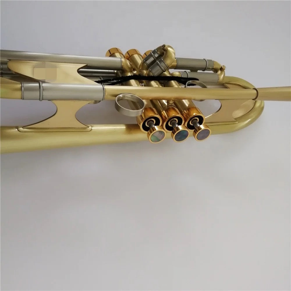 DC Rapture series 1 professional B-flat trumpet