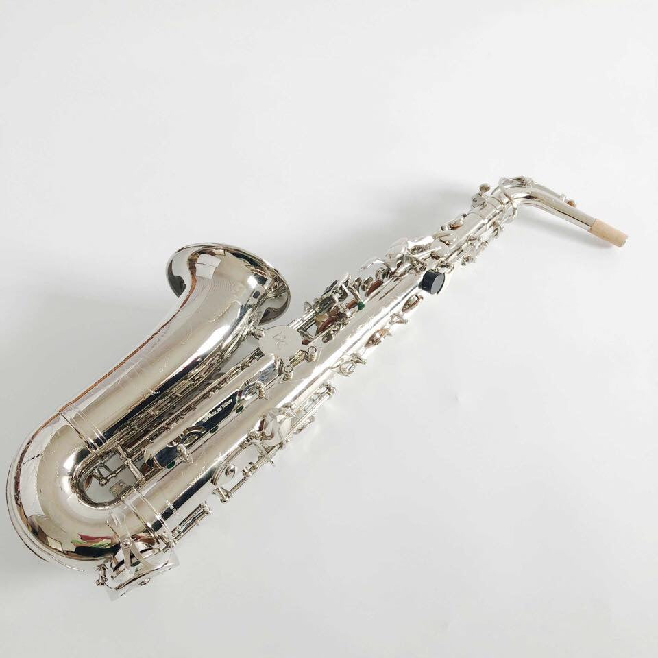 Darron McKinney Demon Chaser Silver Sonic Series Alto Sax