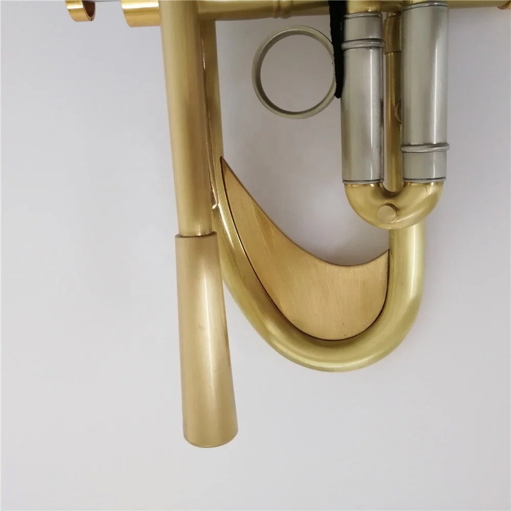 DC Rapture series 1 professional B-flat trumpet